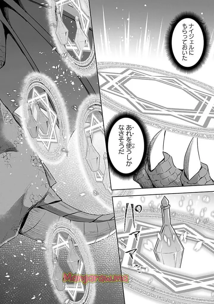 真の聖女である私は追放されました。だからこの国はもう終わりです 第47.2話 - Page 11