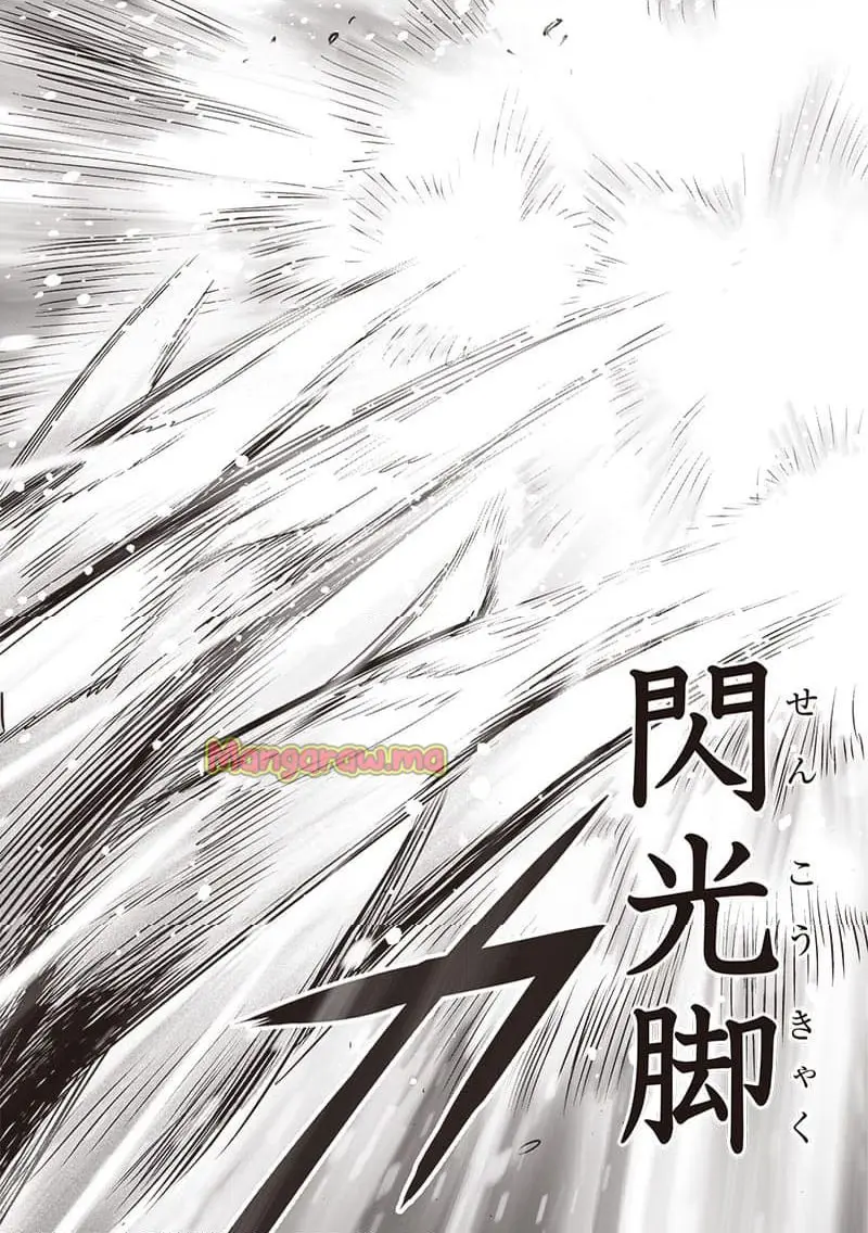 ワンパンマン - raw - 第243.2話 - https://jpgg.ffgg.to/JPGG/02270531/ayta4254cus.webp