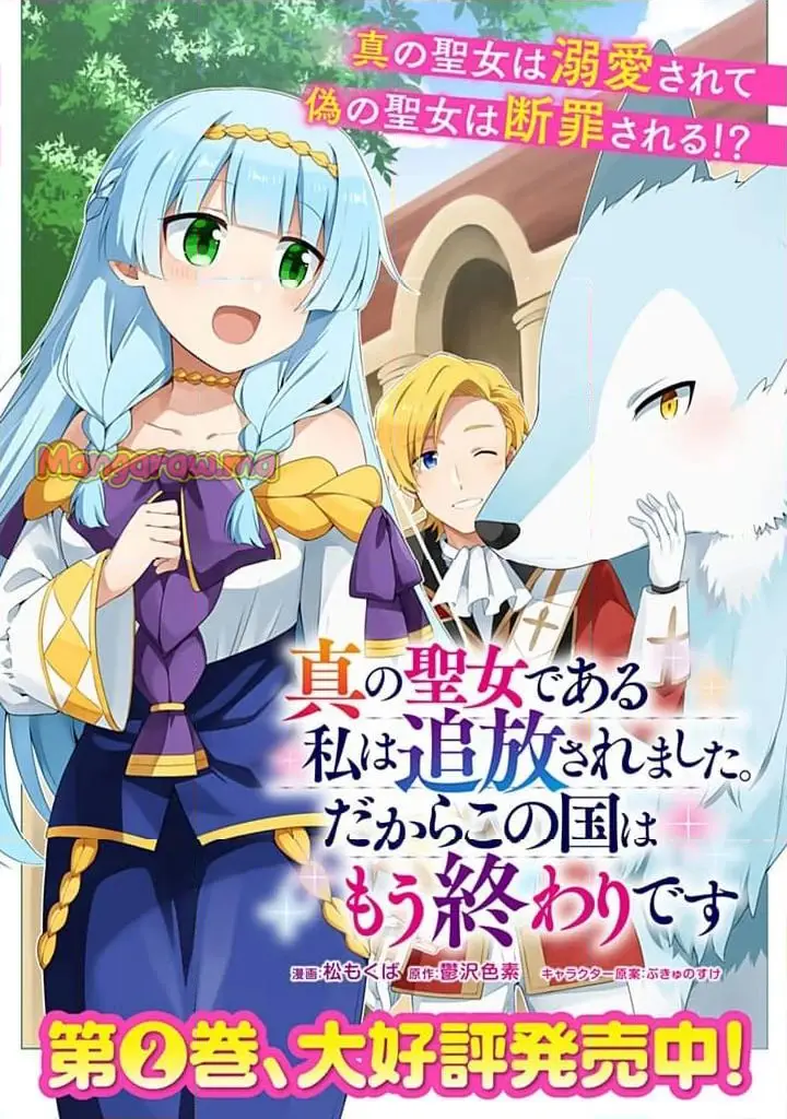真の聖女である私は追放されました。だからこの国はもう終わりです 第48.1話 - Page 17