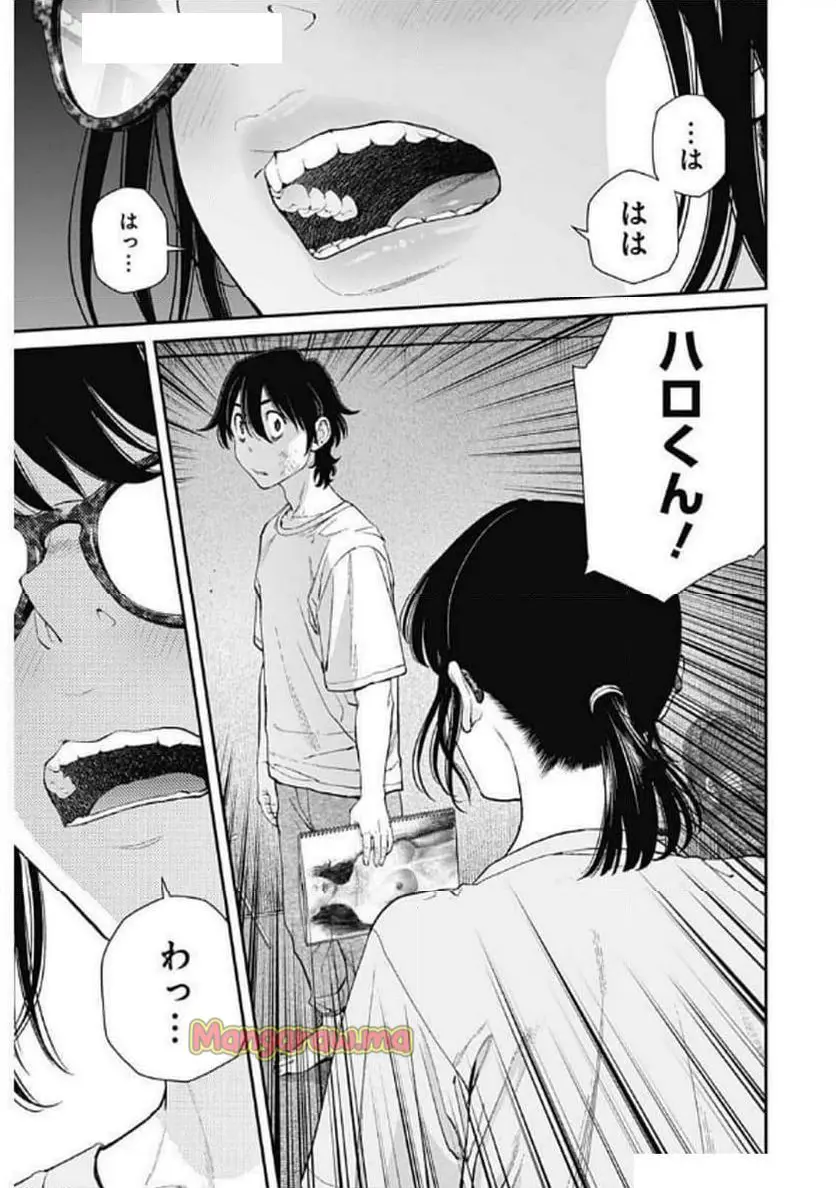 23