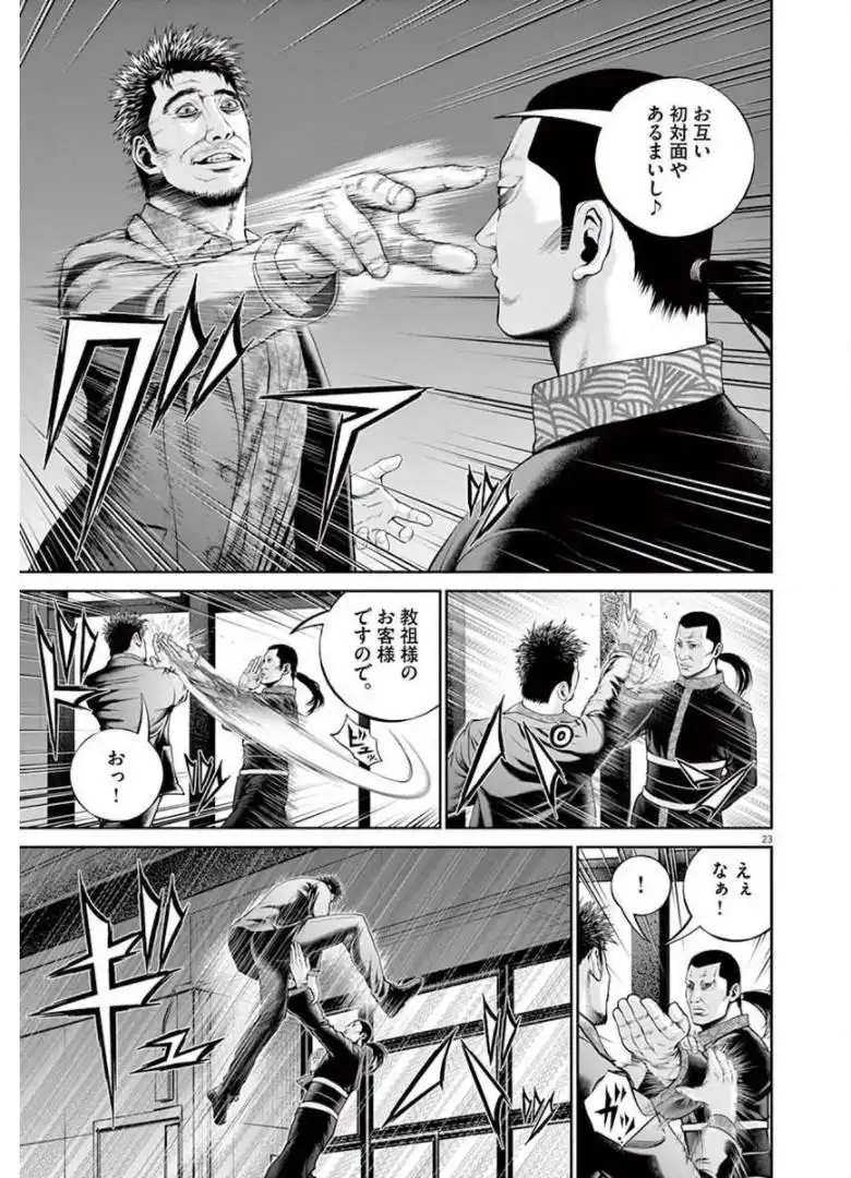 23