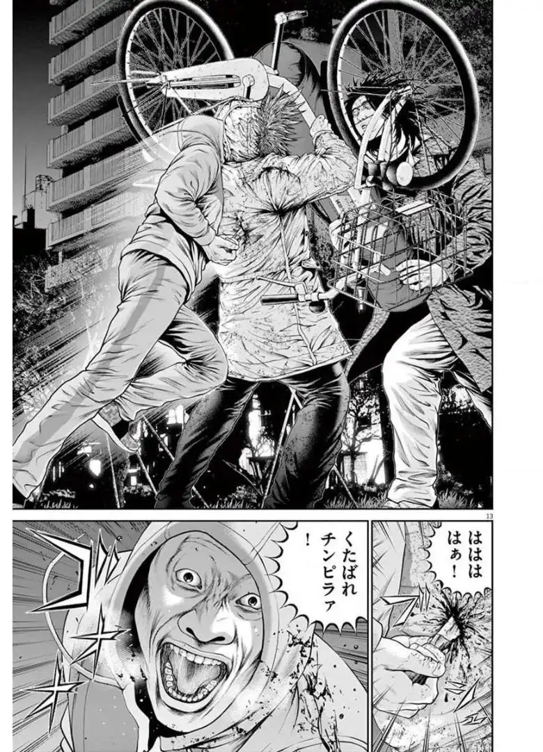 13