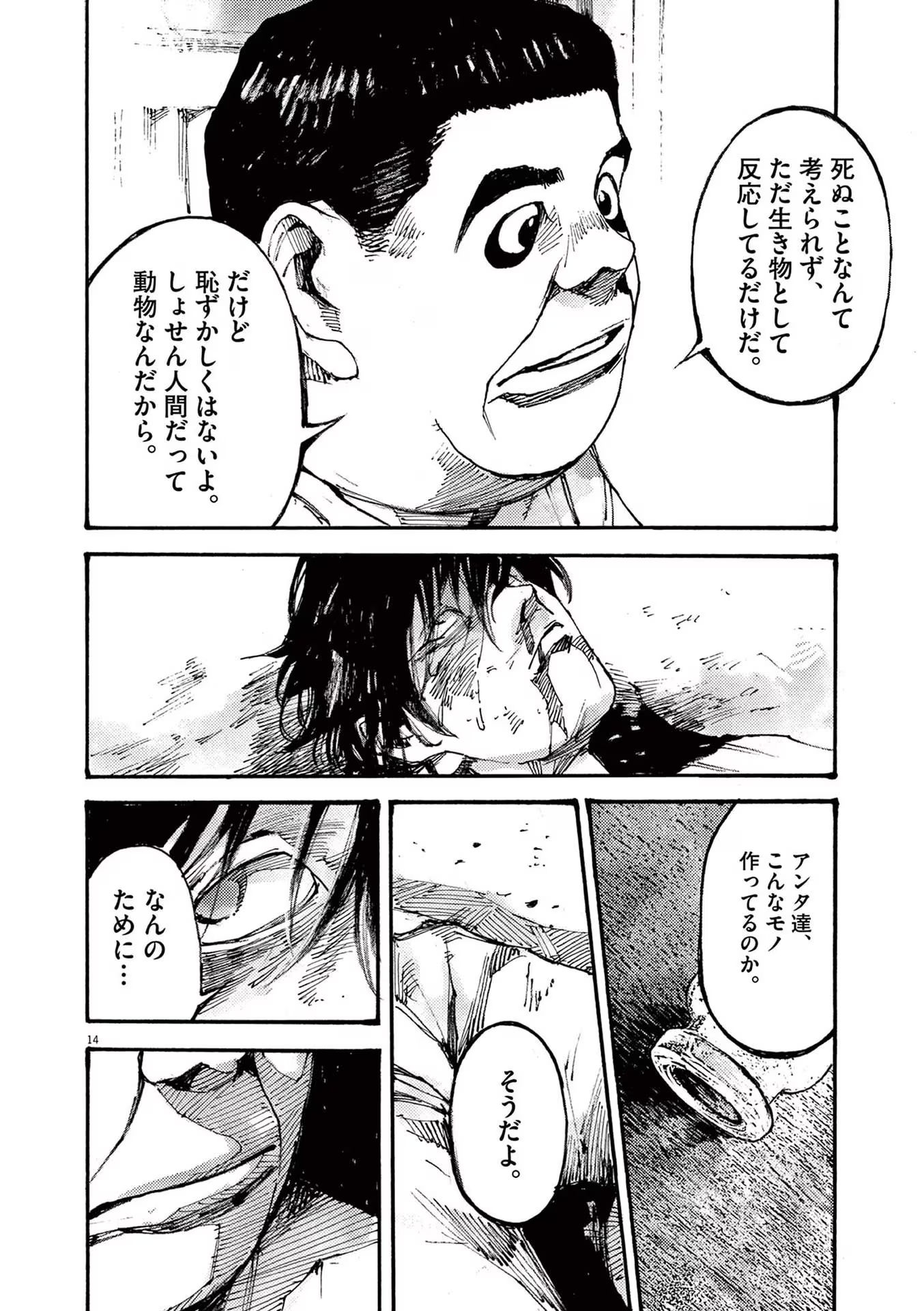 14