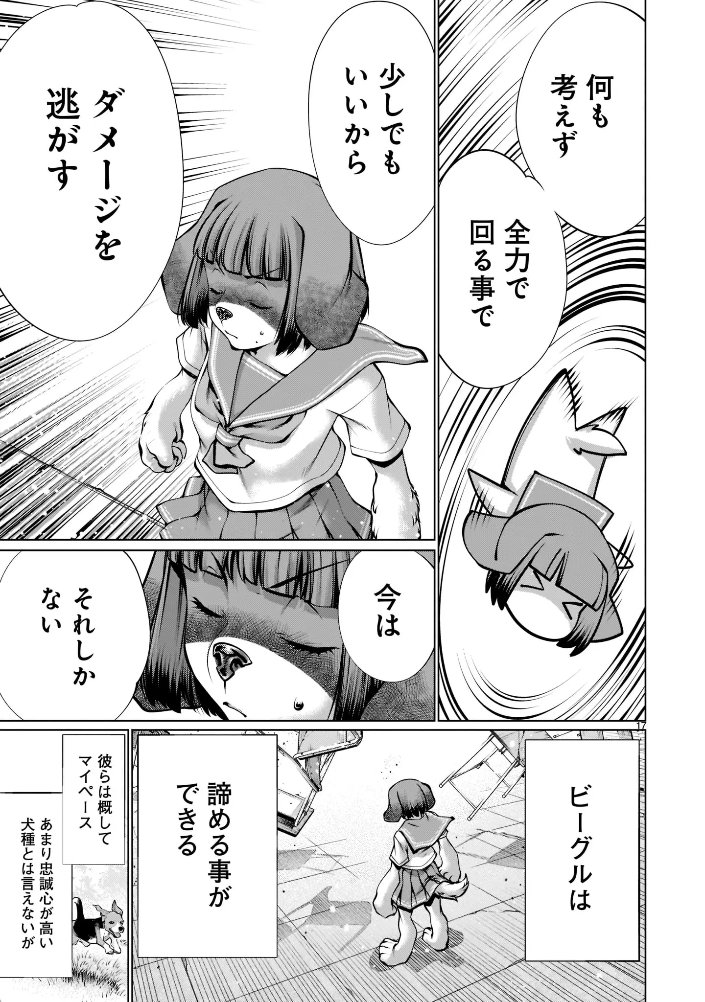 17