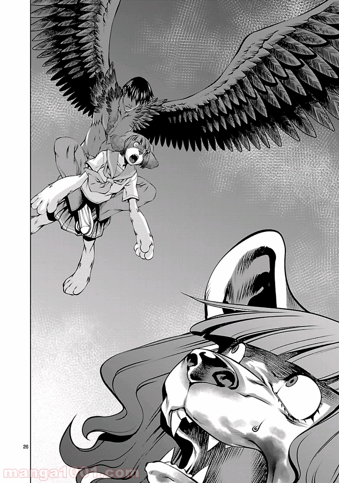 24