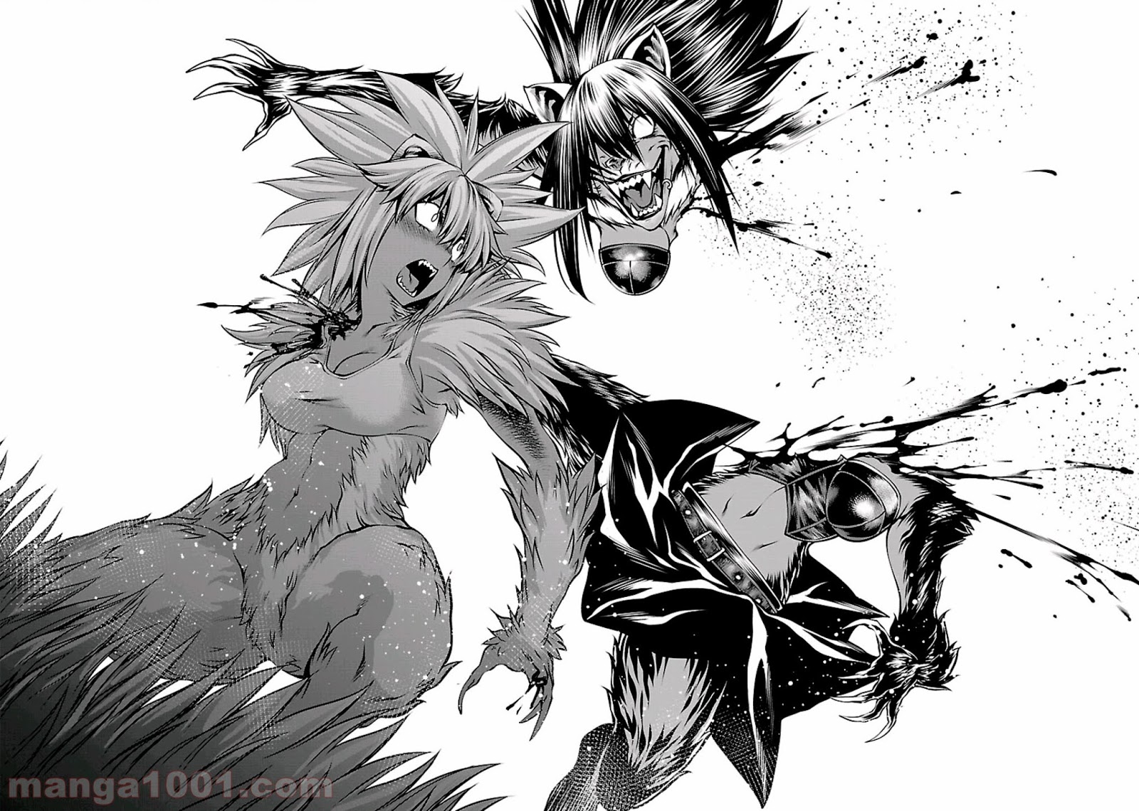 33