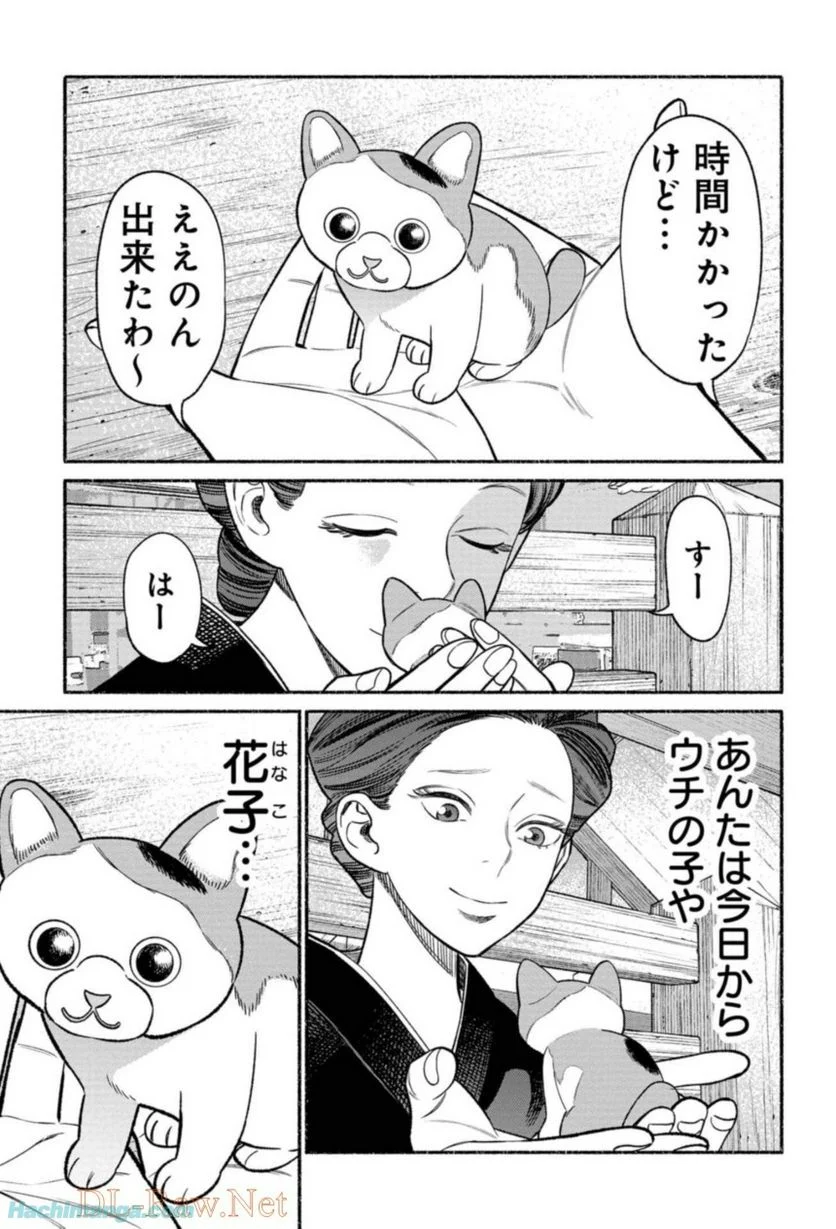 31