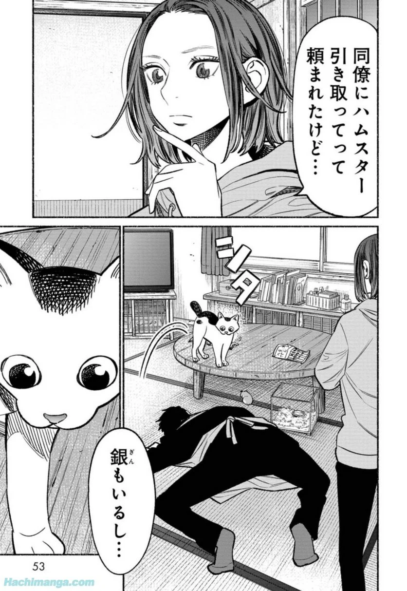 53