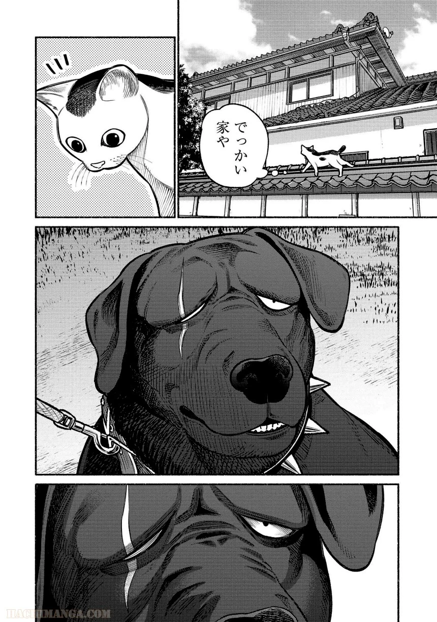 144