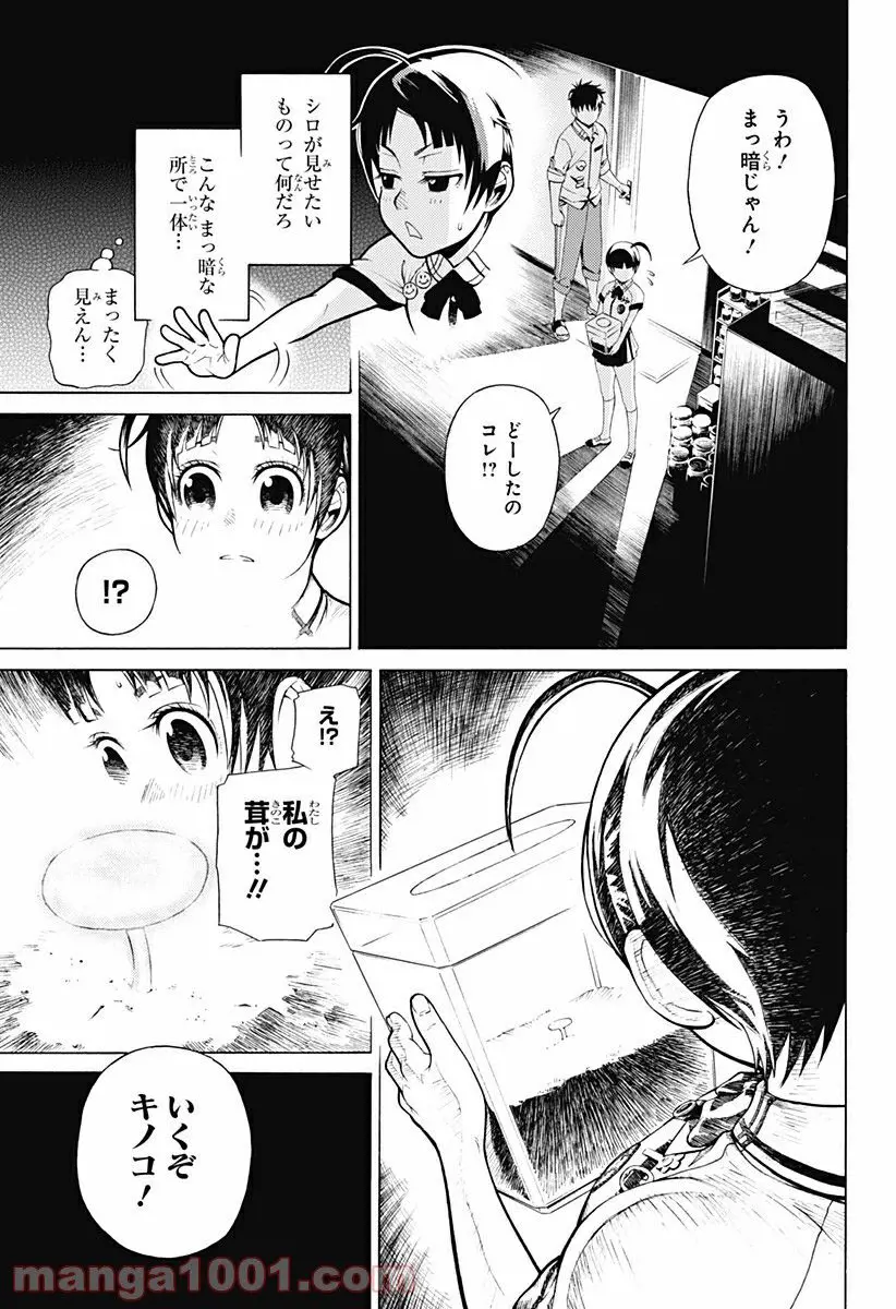 43